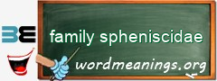 WordMeaning blackboard for family spheniscidae